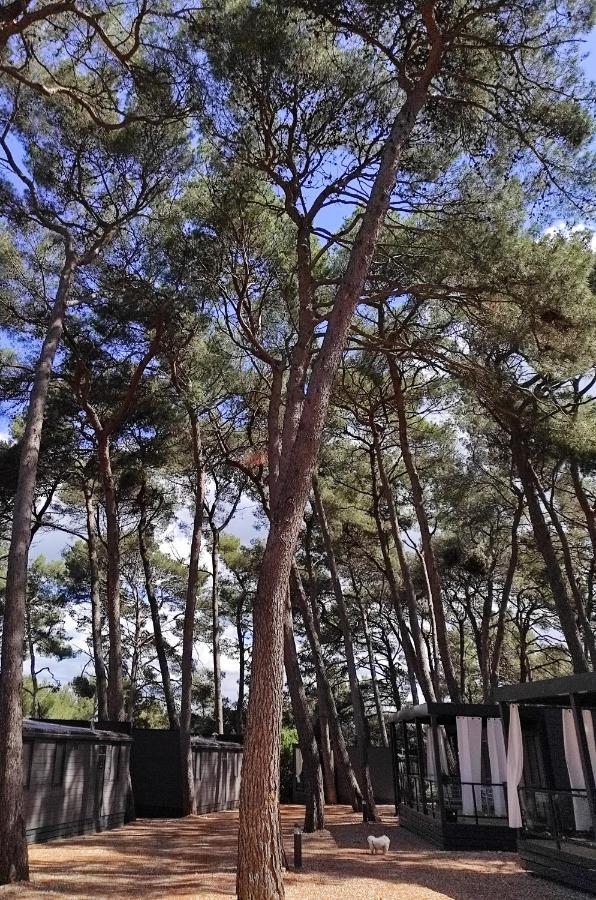 Mobile Home More Porton Nature Hideouts Rovinj Buitenkant foto
