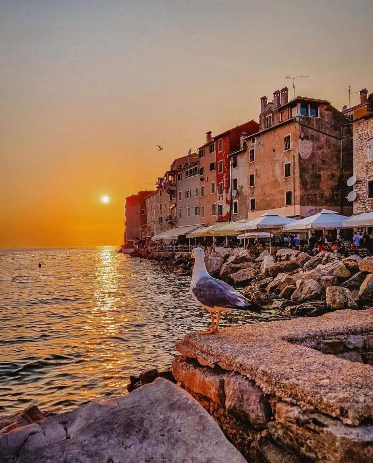 Mobile Home More Porton Nature Hideouts Rovinj Buitenkant foto